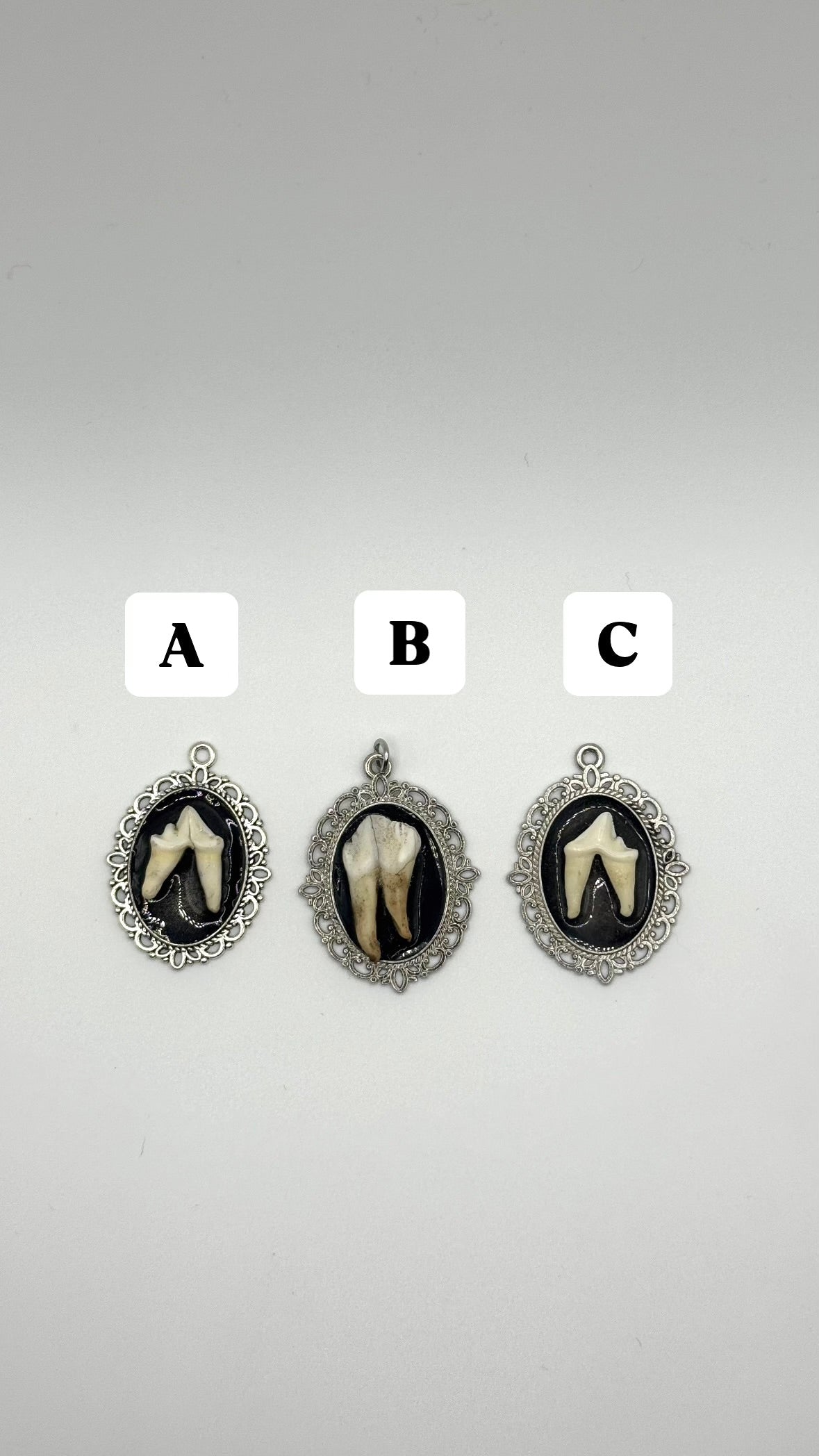 Animal tooth pendant