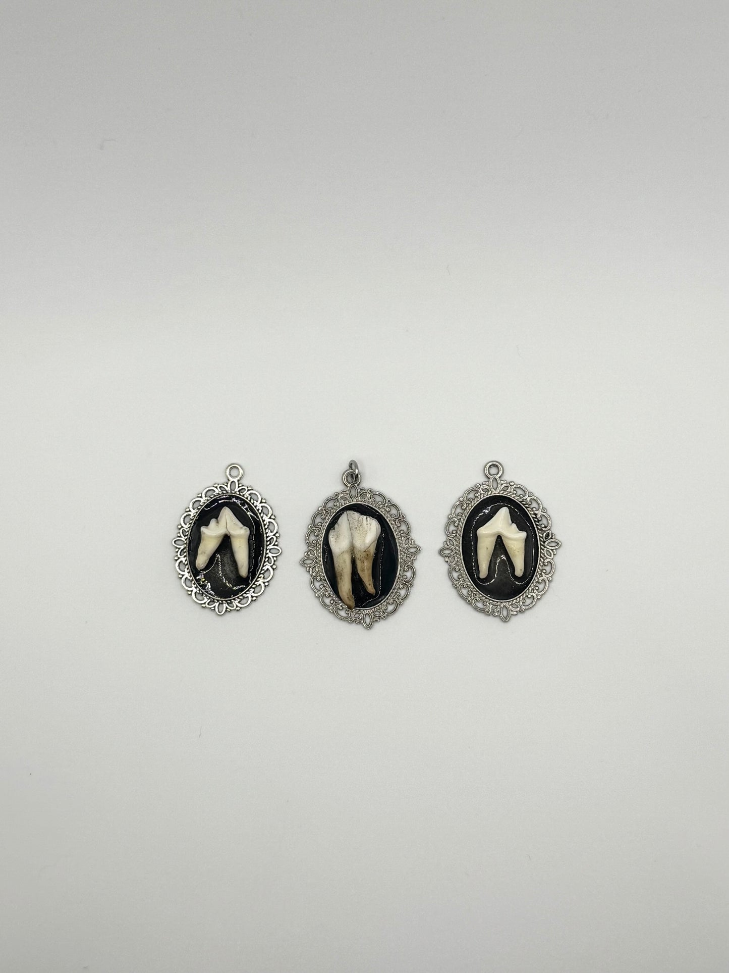Animal tooth pendant
