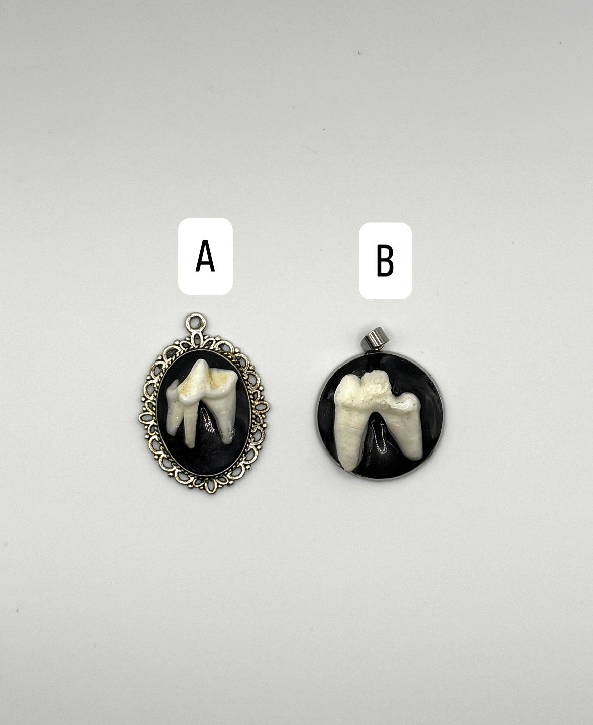 Animal tooth pendant