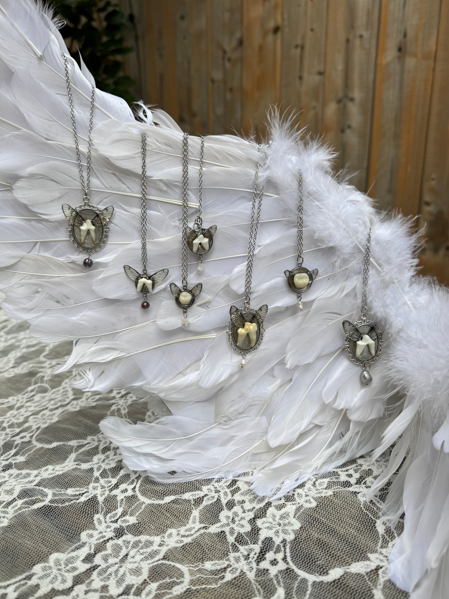 Animal Tooth Fairies