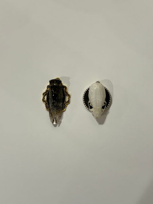 Cicada and weasel skull