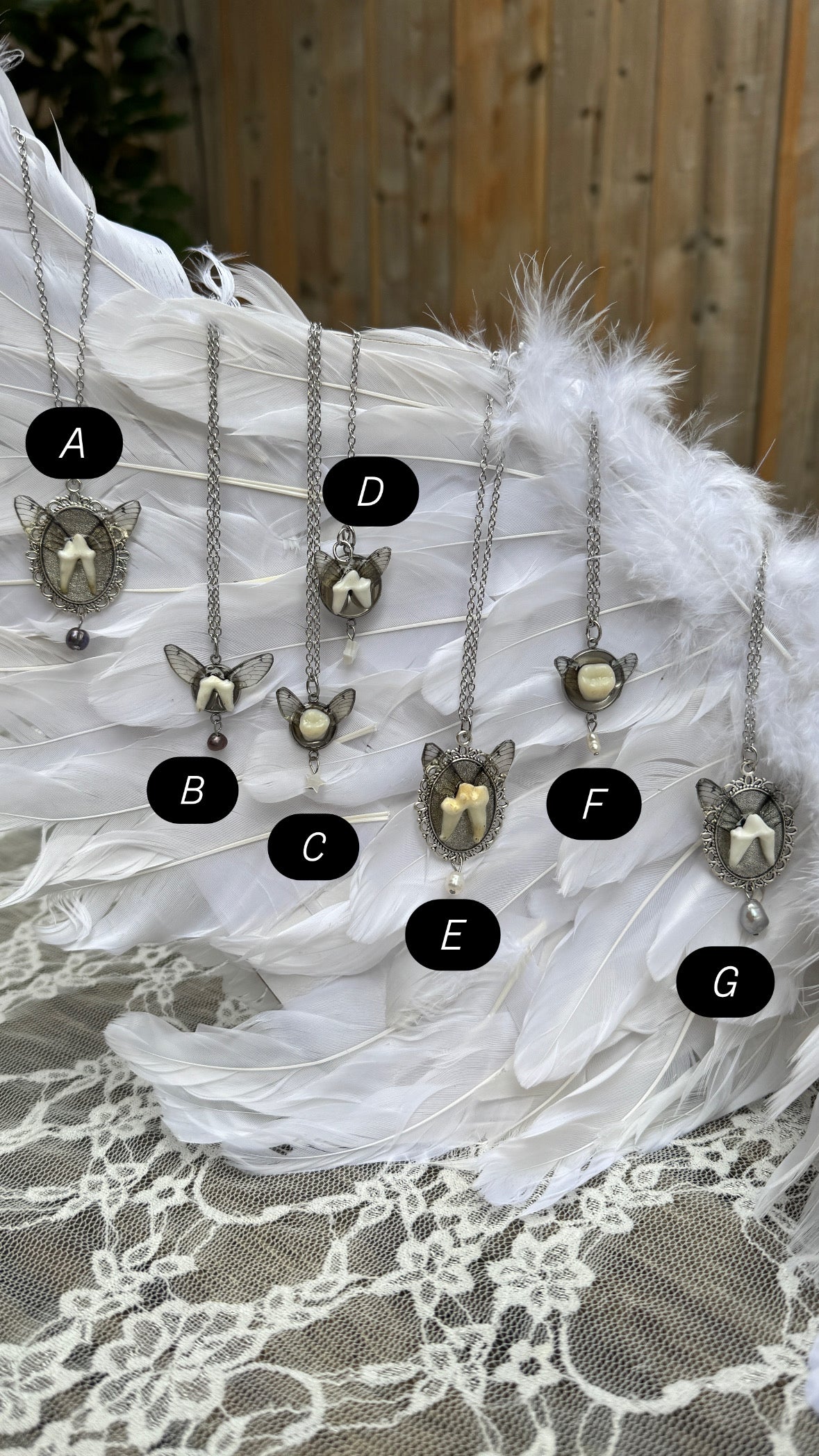 Animal Tooth Fairies