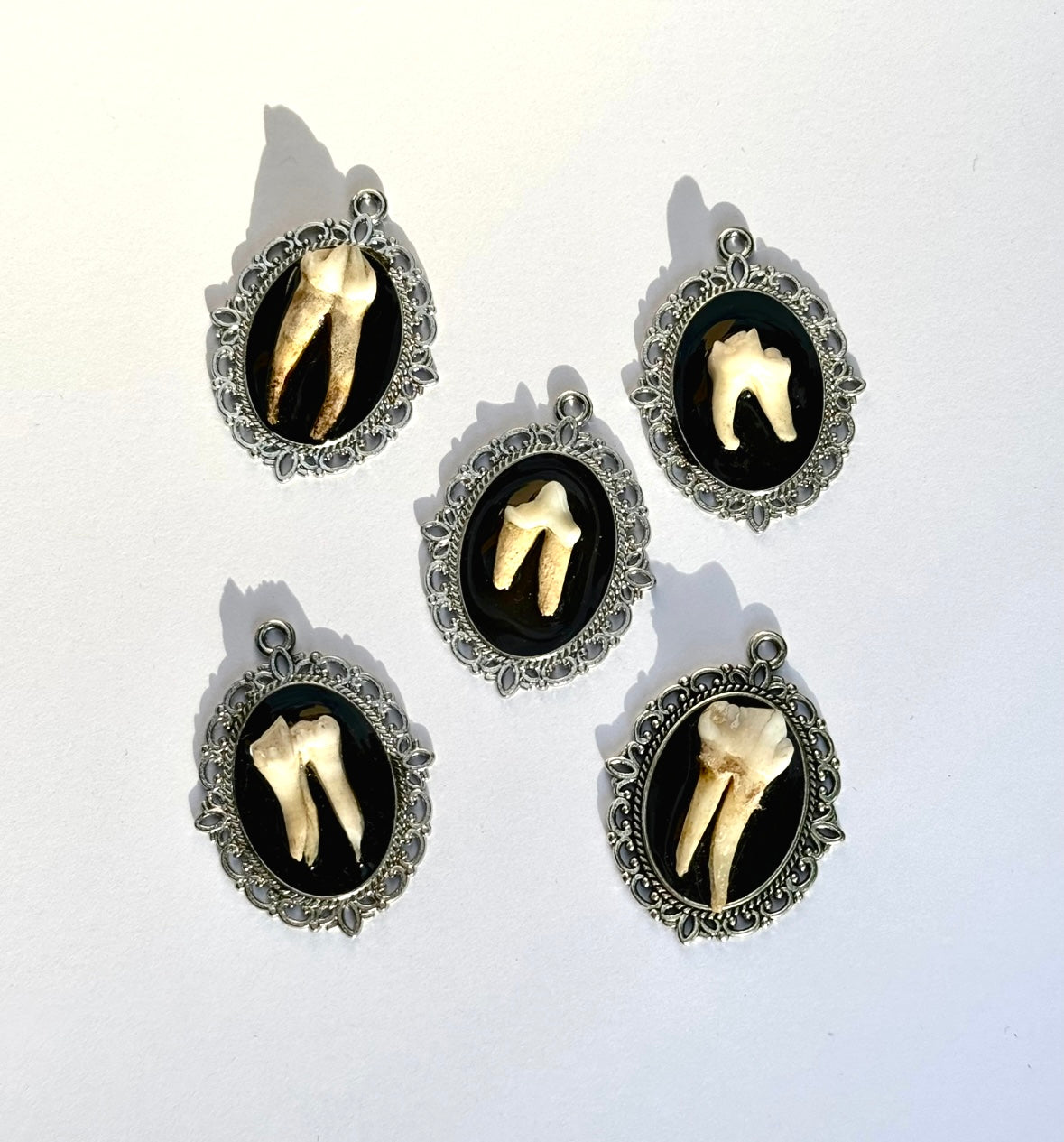 Animal teeth trinkets